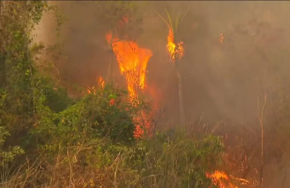 globo-canal-5-20250624-1800-frame-240770.jpeg